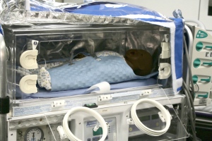 premie-cooling-device-2